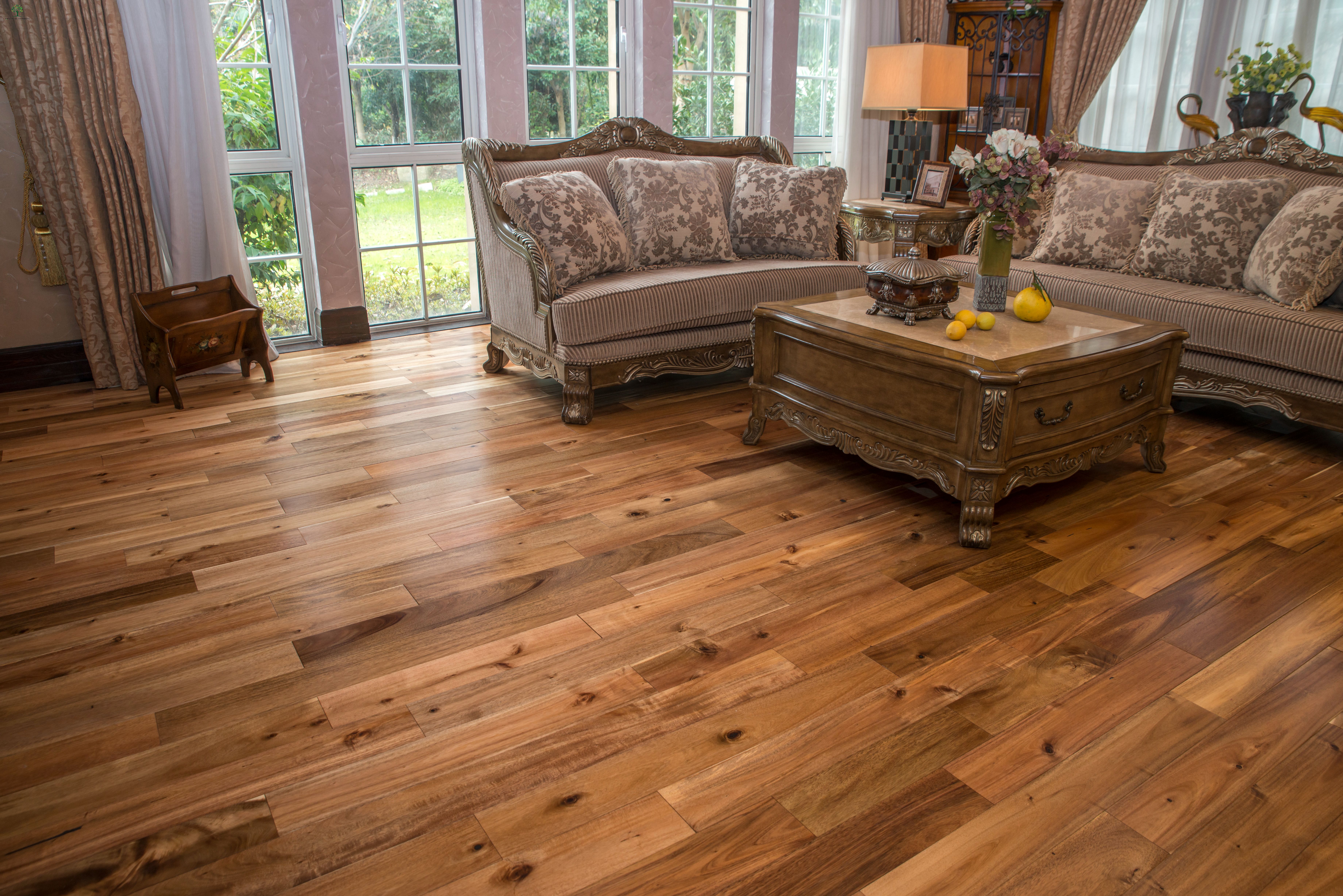 _DSC0370 大叶相思本色-1