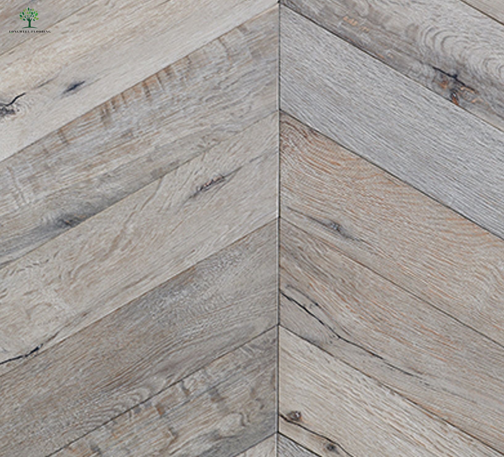 الشمال الأشقر 5