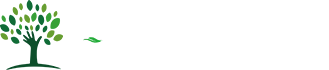 LongWell - إنتاج الأرضيات على أحدث طراز